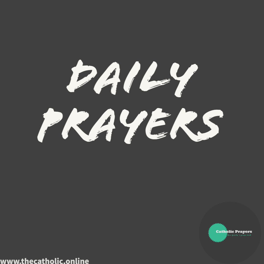 Daily Prayers » THE CATHOLIC