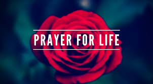 A Prayer for Life